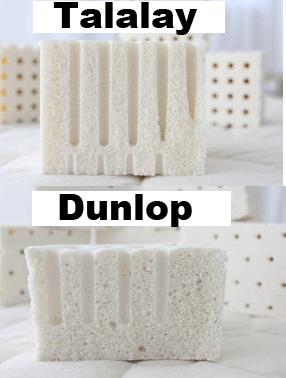 what talalay and dunlop latex look like